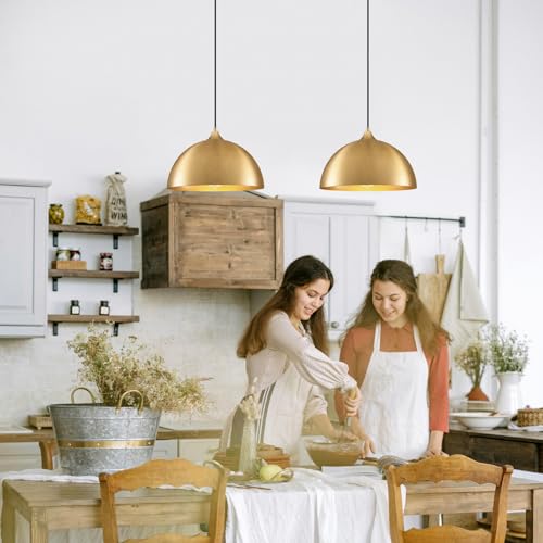 Plug in Hanging Light 2 Packs 11.8inch (2 Count)