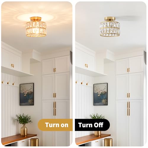 Crystal Ceiling Light Fixture