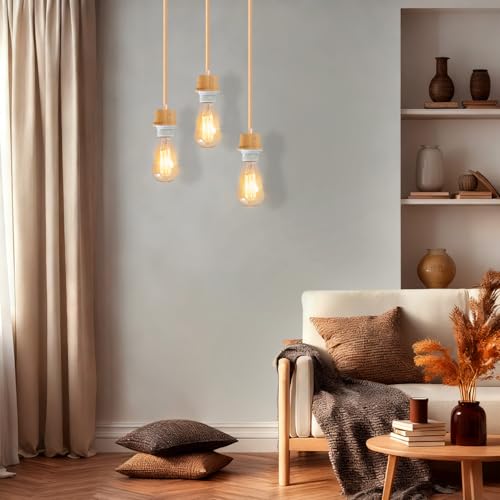 Plug in Pendant Light Cord