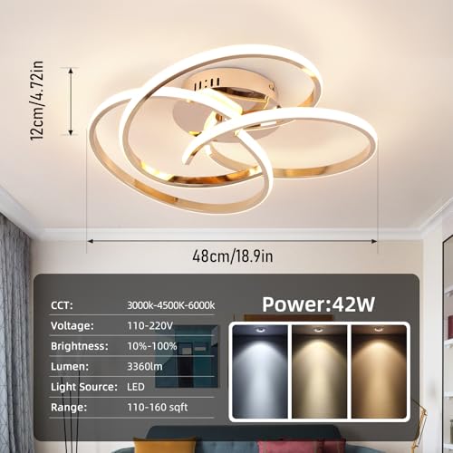Modern LED Ceiling Light Fixture
