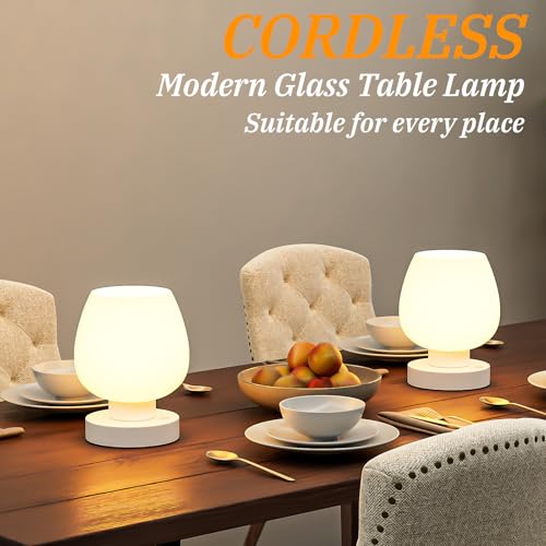 Cordless Touch Table Lamp for Nightstand