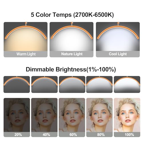 Half Moon Lash Light