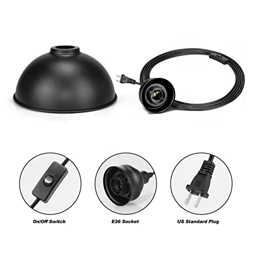 Plug in Pendant Light