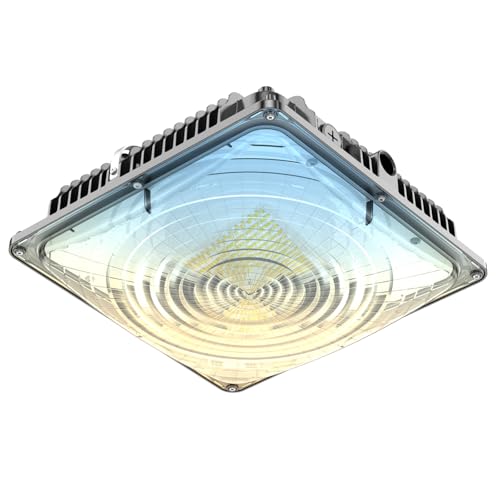 LED Canopy Light 60W (60W 1PACK ADJUSTABLE)