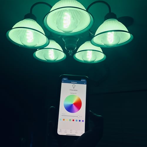 G30 Smart LED Globe Light Bulb