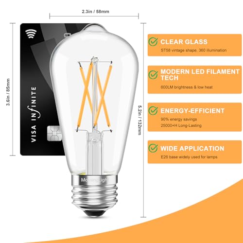 Dimmable Vintage LED Edison Bulbs 60Watt (2 Count)