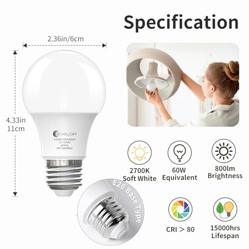 A19 LED Light Bulbs (12 Count)