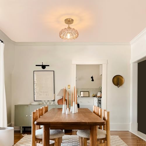 Pendant Light with Amber Scindapsus Glass Lmapshade