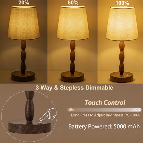 Rechargeable Cordless Table Lamp