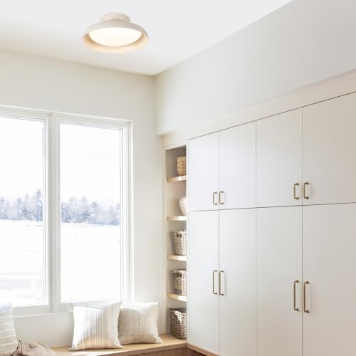 Dimmable LED Ceiling Light