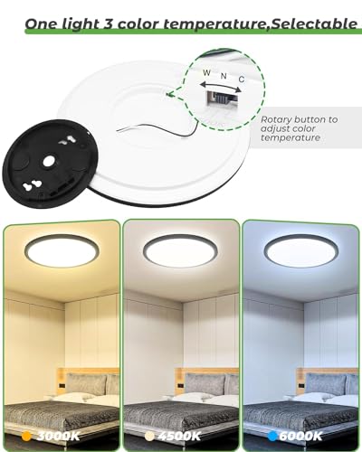 12 Inch Black Ceiling Light (2 Count)