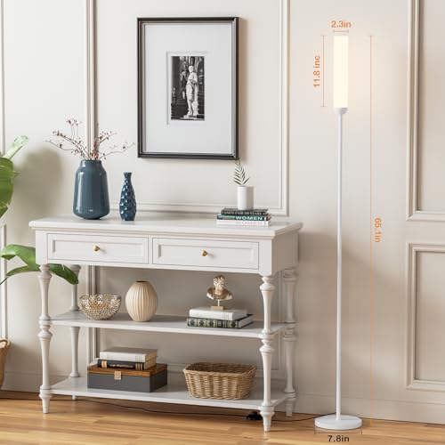 LED Floor Lamp with Remote Control