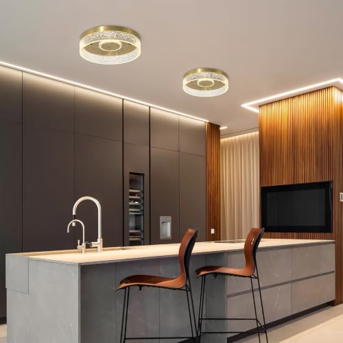 Modern LED Gold Flush Mount Ceiling Light