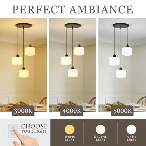 3 Light Pendant Lighting