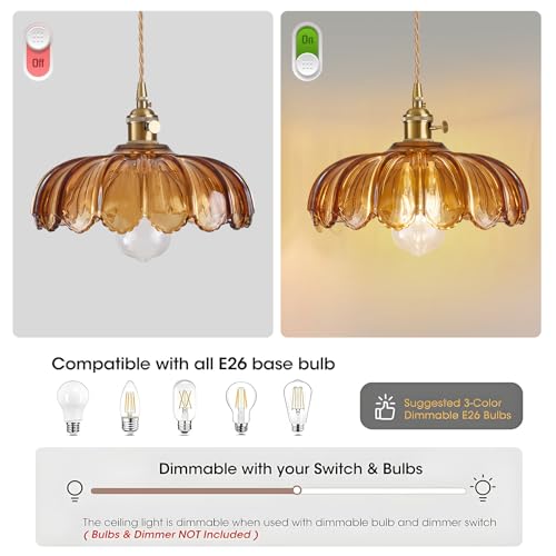 Glass Pendant Light Vintage Light Fixtures