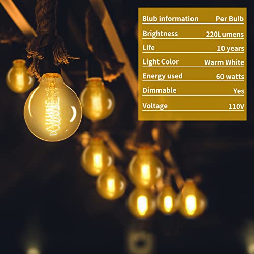 G25 Globe Edison Bulbs (6 Count)