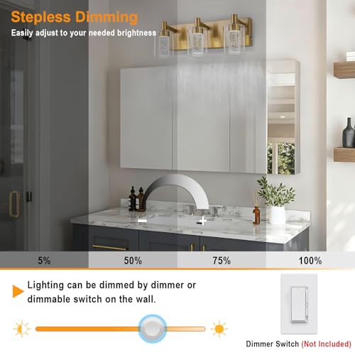 Vanity Light with 3 Color Modes