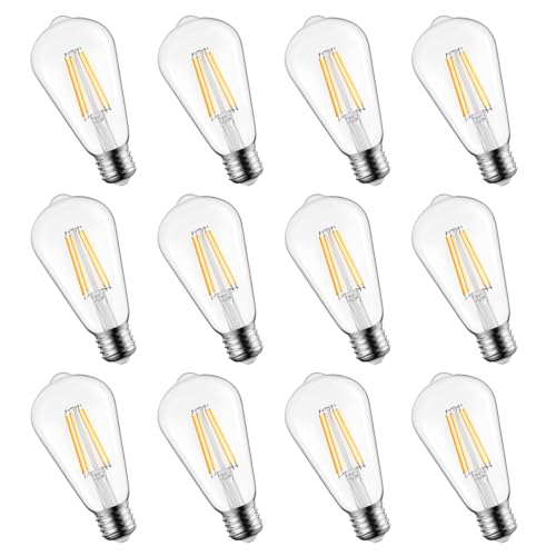 12Pack Edison Light Bulbs (12 Count)
