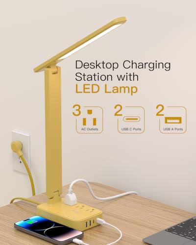 LED Desk Lamp