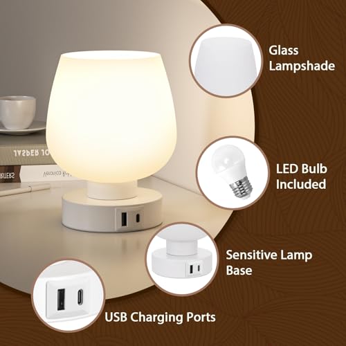 Touch Table Lamp for Nightstand