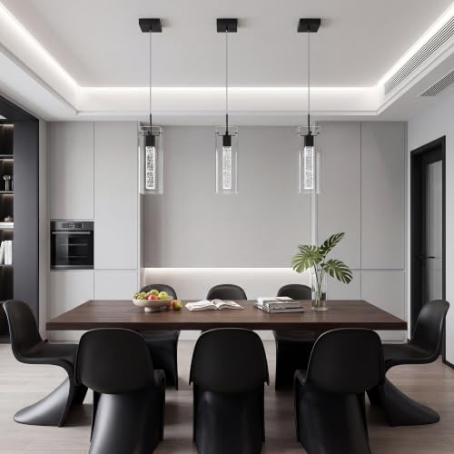 Black Pendant Ceiling Light Fixture