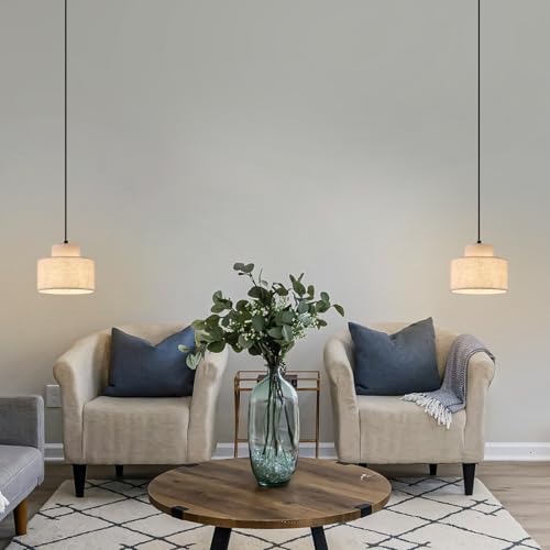 2 Pack Modern Pendant Lights