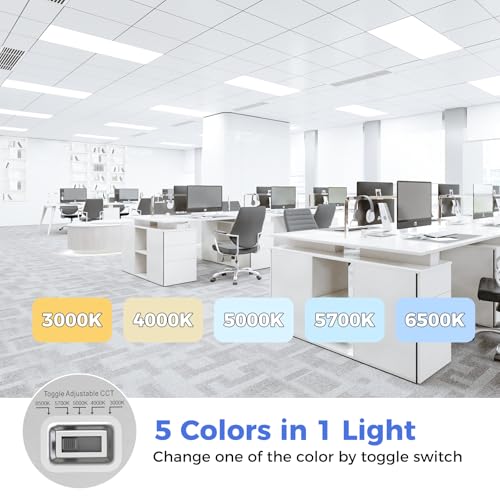 1 Pack 2x4 LED Flat Panel Light