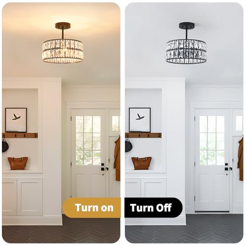 Matte Black Crystal Ceiling Light