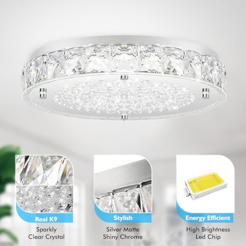 Crystal Flush Mount Ceiling Light