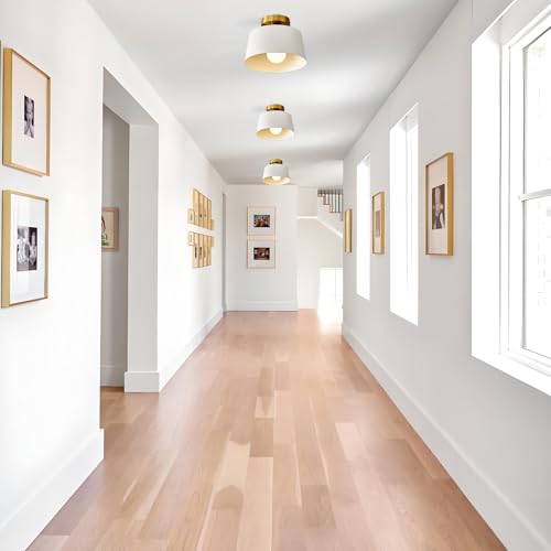 1 Pack White and Gold Modern Semi Flush Mount Ceiling Light Fxiture 10 in