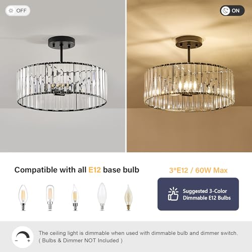Crystal Black Ceiling Light