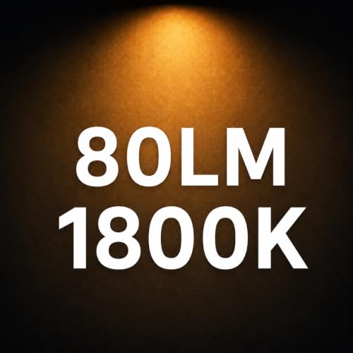 G125 LED Light Bulbs