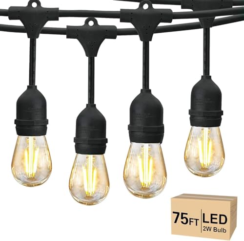 75 FT Outdoor String Lights 2W S14 LED Commercial Grade Waterproof (75 Foot)
