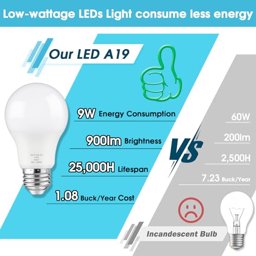 A19 LED Light Bulb (12 Count)