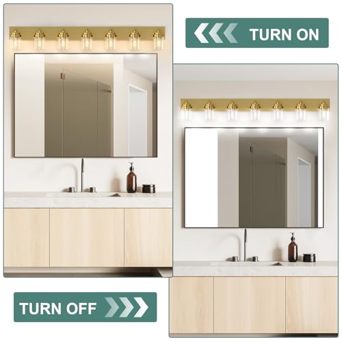 Bathroom Vanity Light Fixture
