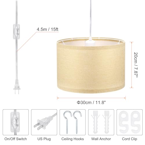 Plug in Pendant Light