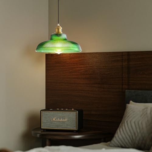 Plug in Pendant Light