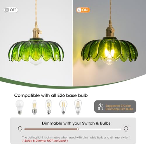 Glass Pendant Light Vintage Light Fixtures
