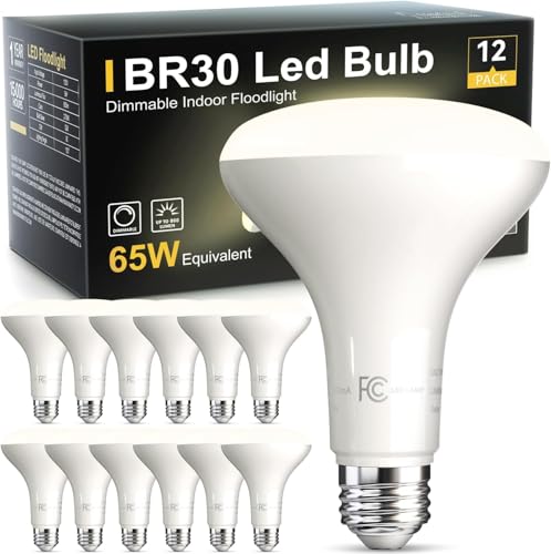 12Pack BR30 Flood Light Bulb Indoor (12 Count)