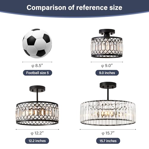 Crystal Black Ceiling Light