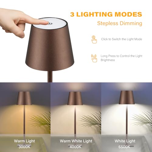 2 Pack Cordless Table Lamps