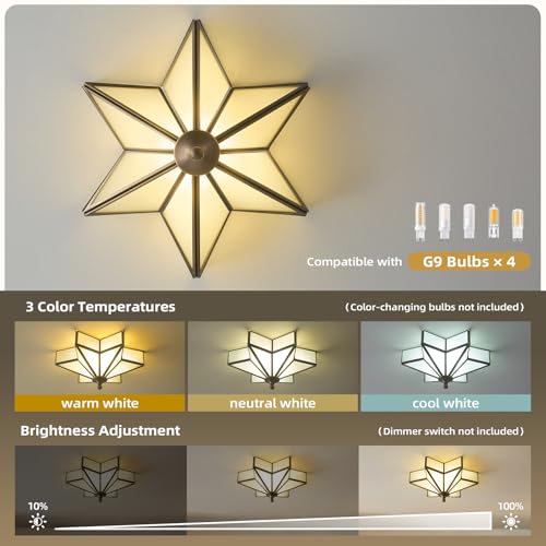 Star Vintage Bronze Ceiling Light
