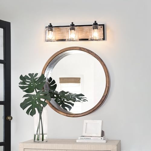 23" 3 Light Farmhouse Bathroom Vanity Light with Bubble Glass