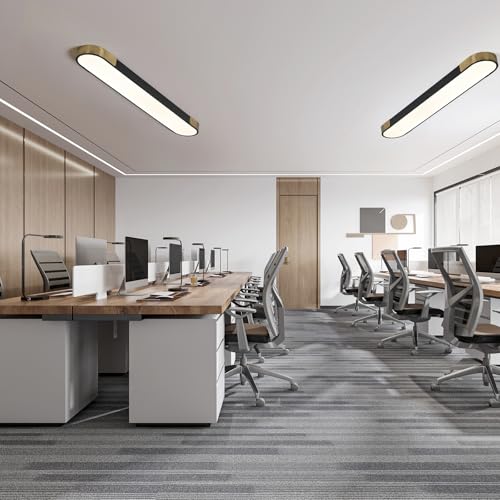 4FT LED Light Fixture 60W Dimmable Led Ceiling Light Black and Gold Flush Mount Ceiling Light Modern Light Fixtures Ceiling for Kitchen Closet Garage Office Hallway
