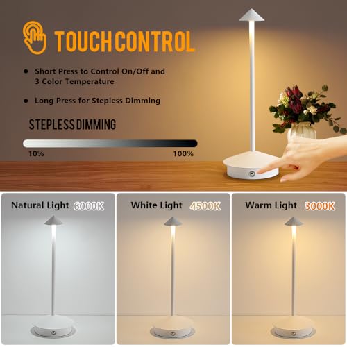 2 Pack LED Rechargeable Cordless Table Lamps