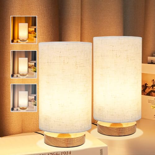 3 Color Adjustable Bedside Table Lamp for Bedroom Set of 2 (2 Count)
