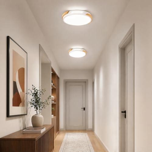 Modern LED Ceiling Light