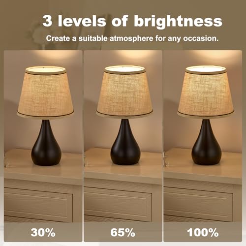 17.3'' Modern Touch Black Table Lamp Set of 2 with 3 Way Dimmable (2 Count)