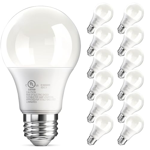 12 Pack A19 LED Light Bulb (12 Count)