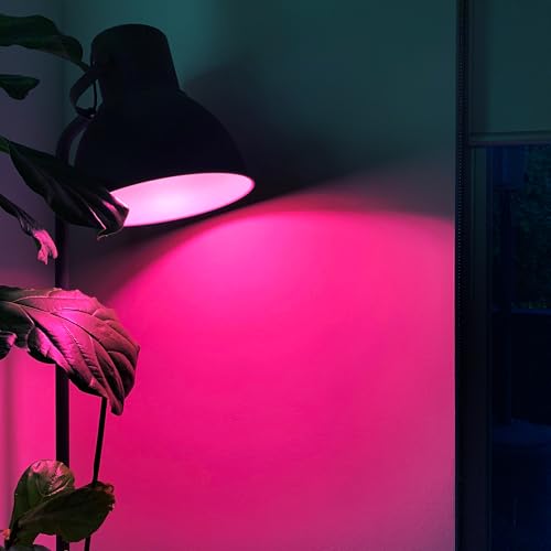 Supercolor A21 Smart Light Bulb